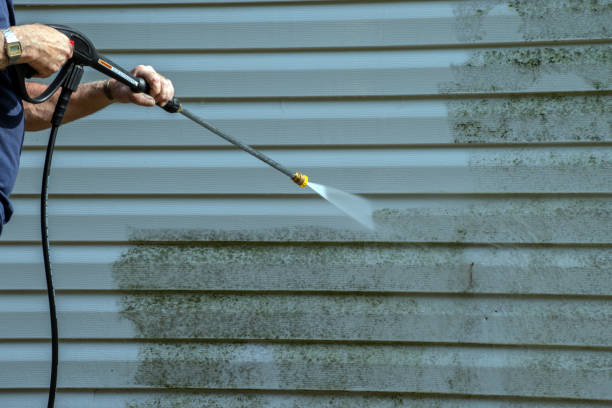 Trusted Reedley, CA Pressure Washing Services Experts